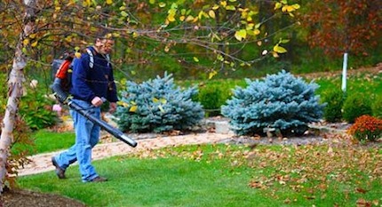 fall clean 5513