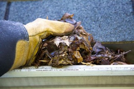 Gutter-Cleaning